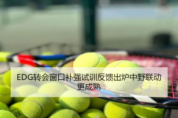 EDG转会窗口补强试训反馈出炉中野联动更成熟